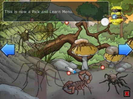 Clever Kids: Creepy Crawlies
