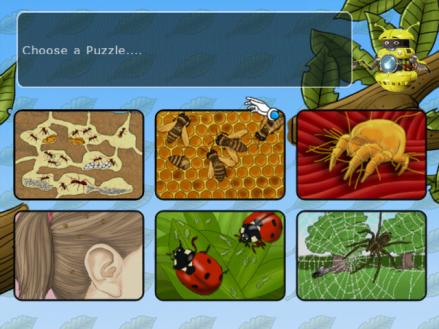 Clever Kids: Creepy Crawlies
