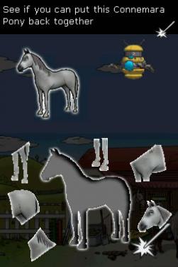 Clever Kids: Pony World